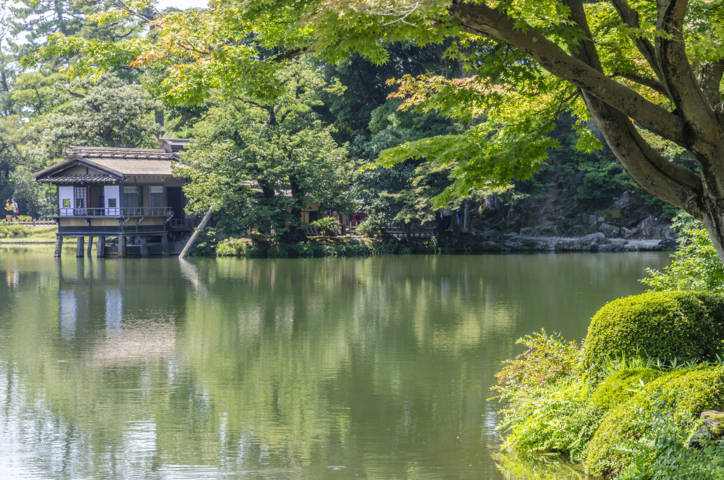 100 - Kanazawa - jardines Kenrokuen